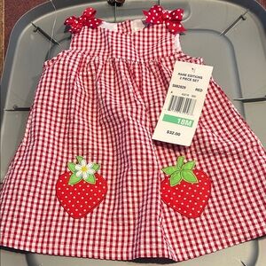 Girls 18 month new nwt strawberry casual summer sundress Gigham seersucker